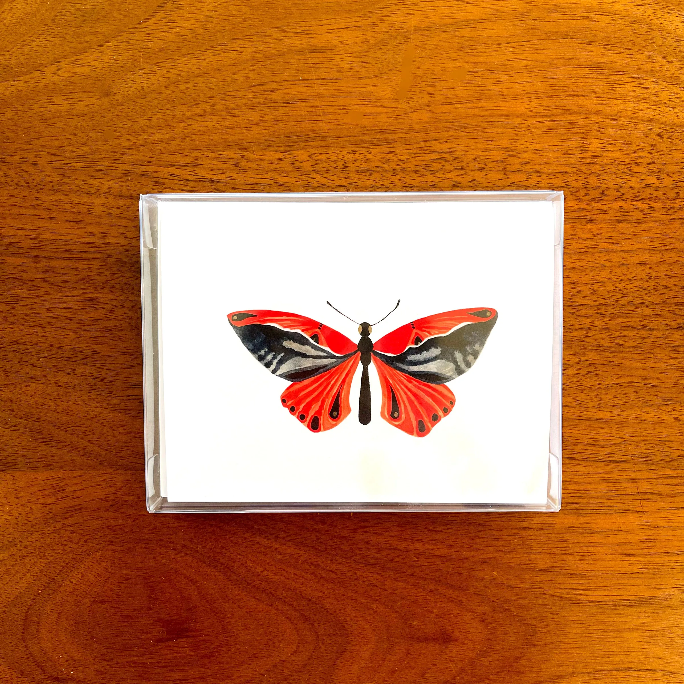 Butterfly: Beauty, Boxed Blank Note Cards