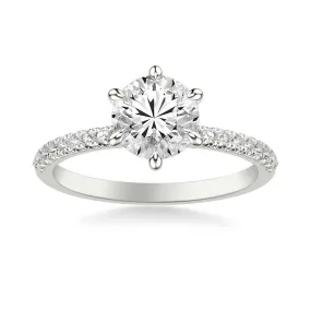 Classic Diamond 6 Prong Diamond Collar and Round Diamond Setting