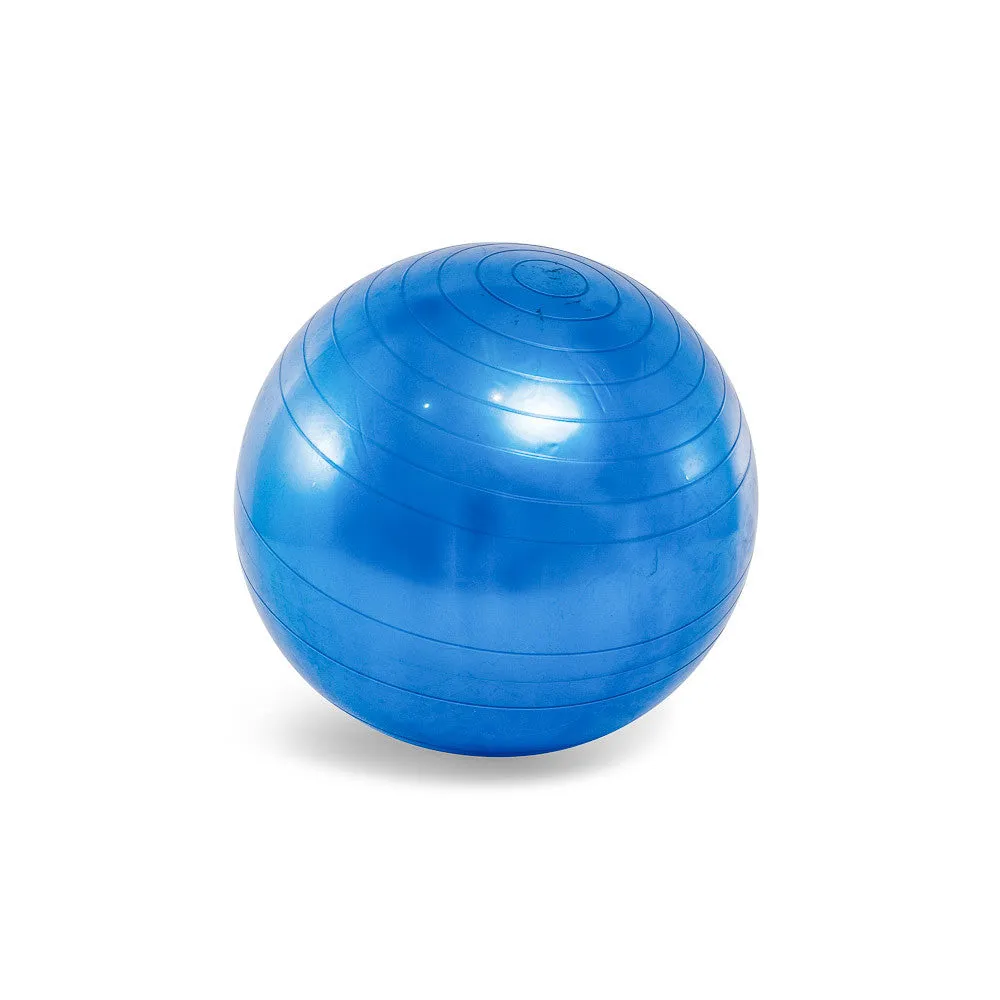 Exercise / Fitness / Physio Ball