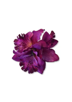 Tropical Trio Orchid, Purple